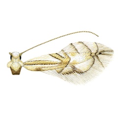 /filer/webapps/moths_gc/media/images/S/subpersea_Phyllocnistis_HT_Davis-et-Wagner_2011_46.jpg