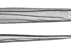 Cuphodes pyrochroma