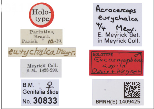 /filer/webapps/moths_gc/media/images/A/aspila_Eucosmophora_HT_1409425_BMNH_labels.jpg