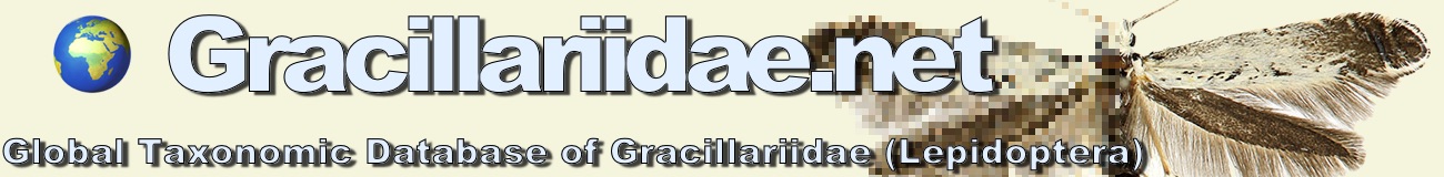 Gracillariidae.net